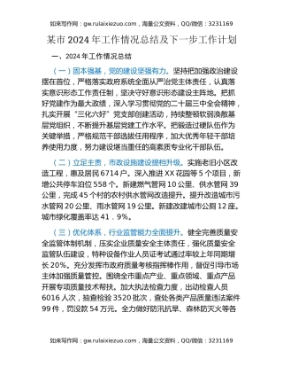 某市2024年工作情况总结及下一步工作计划