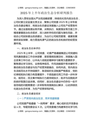 2025年上半年政治生态分析研判报告