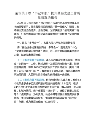 某市关于以“书记领航”提升基层党建工作质量情况的报告