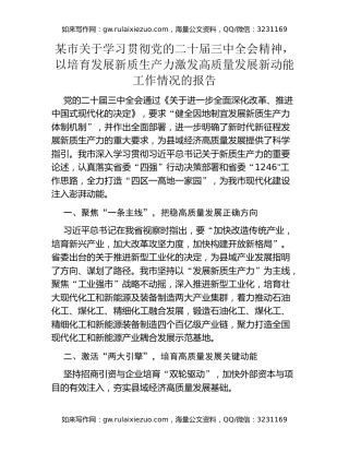 某市关于学习贯彻党的二十届三中全会精神，以培育发展新质生产力激发高质量发展新动能工作情况的报告