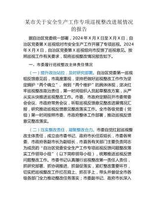 某市关于安全生产工作专项巡视整改进展情况的报告