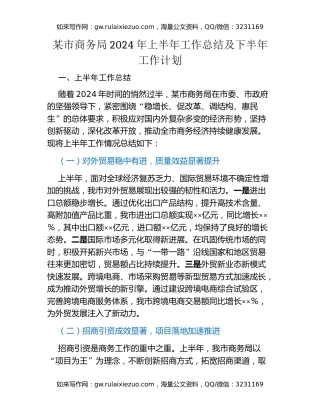 某市商务局2024年上半年工作总结及下半年工作计划