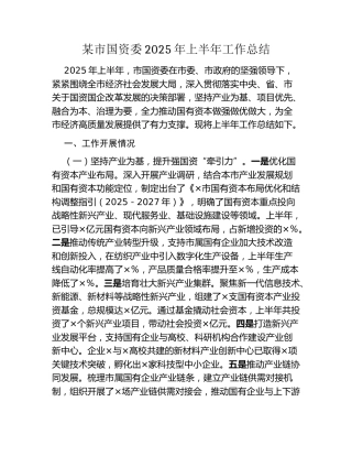 某市国资委2025年上半年工作总结