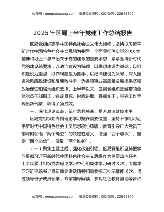 2025年区局上半年党建工作总结报告