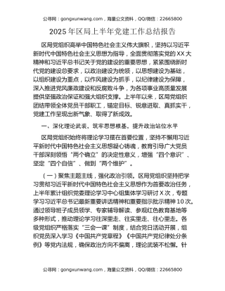 2025年区局上半年党建工作总结报告 (2)