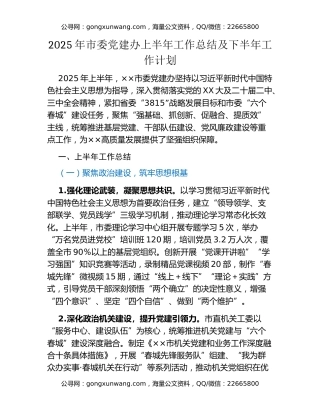 2025年市委党建办上半年工作总结及下半年工作计划