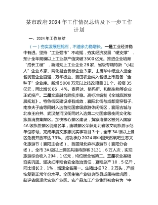 某市政府2024年工作情况总结及下一步工作计划