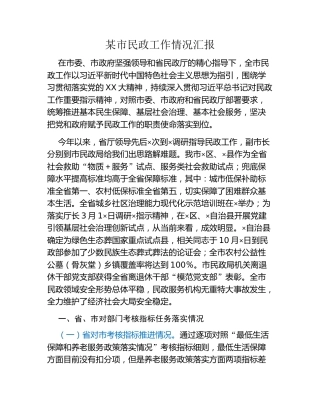 某市民政工作情况汇报