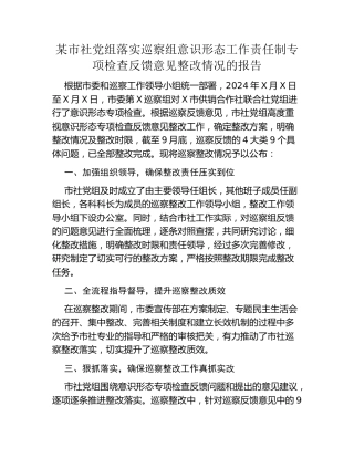 某市社党组落实巡察组意识形态工作责任制专项检查反馈意见整改情况的报告