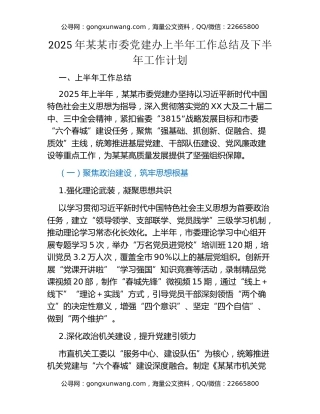 2025年某某市委党建办上半年工作总结及下半年工作计划