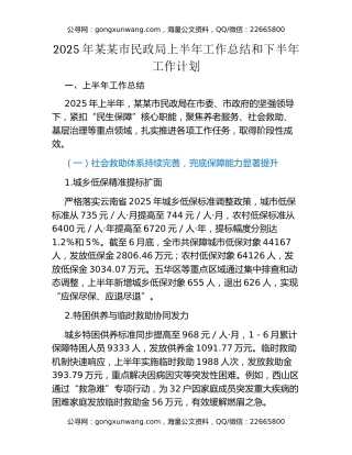 2025年某某市民政局上半年工作总结和下半年工作计划