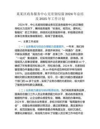 某某区政务服务中心无差别综窗2024年总结及2025年工作计划