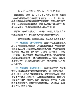 某某县民政局巡察整改工作情况报告