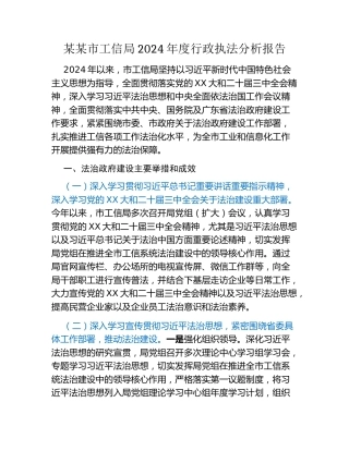 某某市工信局2024年度行政执法分析报告