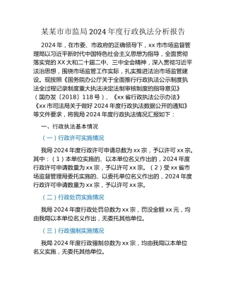 某某市市监局2024年度行政执法分析报告