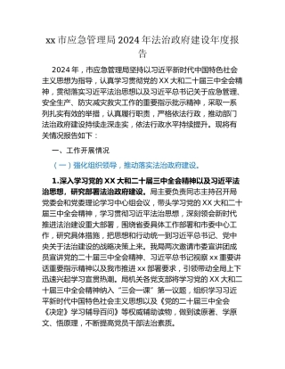 某某市应急管理局2024年法治政府建设年度报告