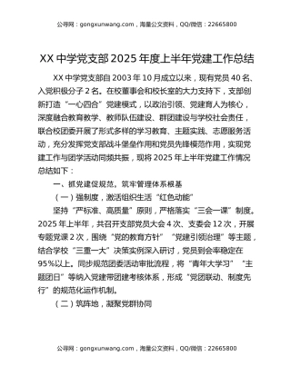 xx中学党支部2025年度上半年党建工作总结