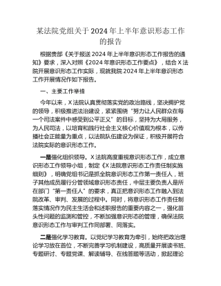 某法院党组关于2024年上半年意识形态工作的报告
