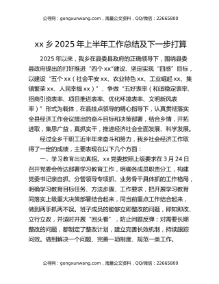 xx乡2025年上半年工作总结及下一步打算
