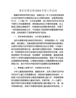 某社区团支部2024年度工作总结