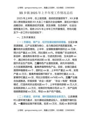 XX乡镇2025年上半年度工作情况总结