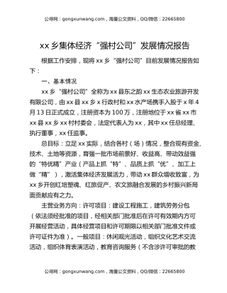 xx乡集体经济“强村公司”发展情况报告