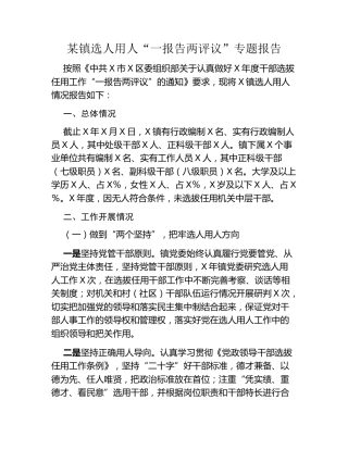 某镇选人用人一报告两评议专题报告