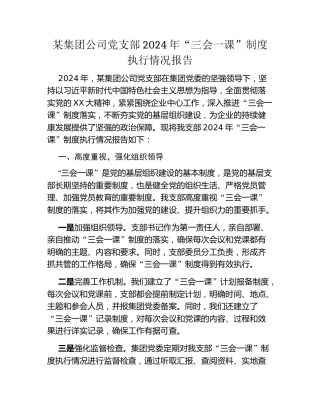 某集团公司党支部2024年“三会一课”制度执行情况报告