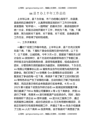 xx县T办上半年工作总结