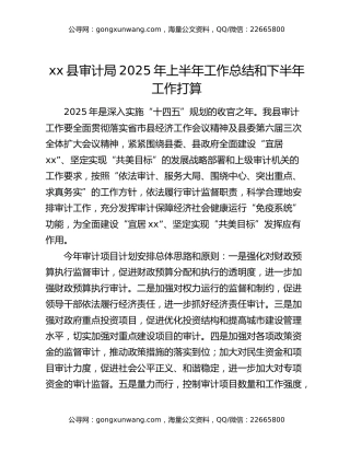 xx县审计局2025年上半年工作总结和下半年工作打算