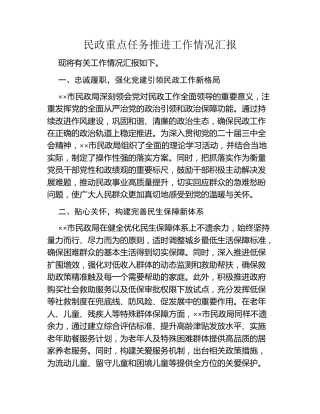 民政重点任务推进工作情况汇报