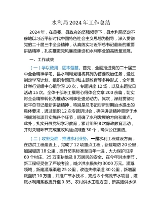 水利局2024年工作总结