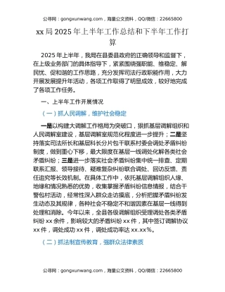 xx局2025年上半年工作总结和下半年工作打算