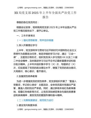 XX局党支部2025年上半年全面从严治党工作报告