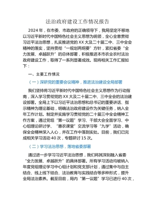 法治政府建设工作情况报告