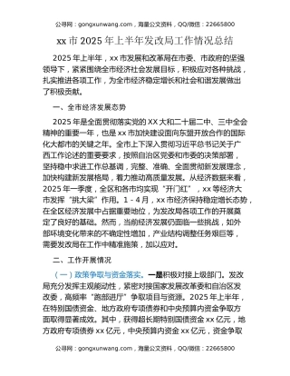 xx市2025年上半年发改局工作情况总结