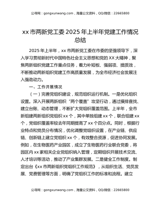 xx市两新党工委2025年上半年党建工作情况总结