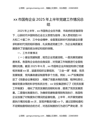 xx市国有企业2025年上半年党建工作情况总结