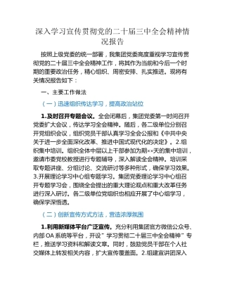深入学习宣传贯彻党的二十届三中全会精神情况报告