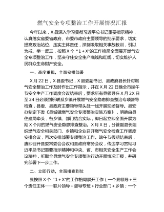 燃气安全专项整治工作开展情况汇报