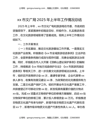xx市文广局2025年上半年工作情况总结 (2)