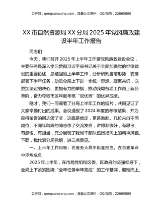 XX市自然资源局XX分局2025年党风廉政建设半年工作报告