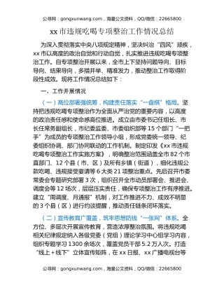 xx市违规吃喝专项整治工作情况总结