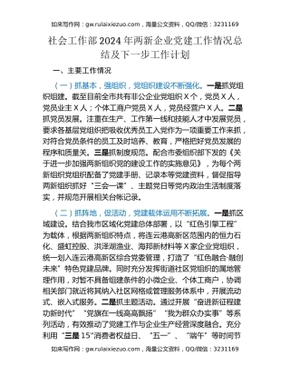 社会工作部2024年两新企业党建工作情况总结及下一步工作计划