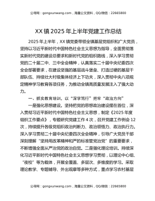 xx镇2025年上半年党建工作总结