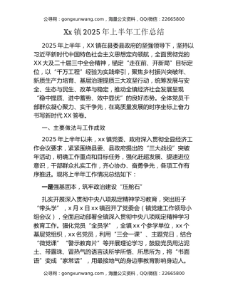 Xx镇2025年上半年工作总结