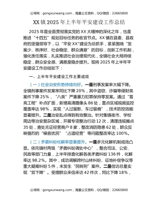 XX镇2025年上半年平安建设工作总结