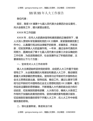 XX镇XX年人大工作报告