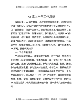 xx镇上半年工作总结