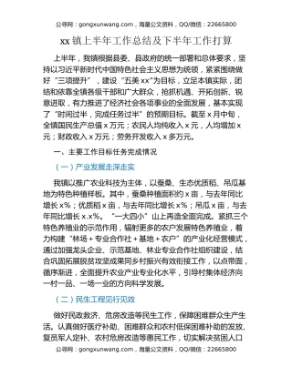 xx镇上半年工作总结及下半年工作打算